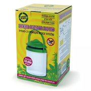 טורפת הזבובים הקטנה