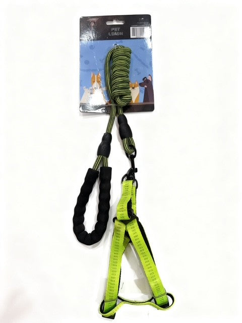 רצועה לכלב + ריתמה 2 ס"מ