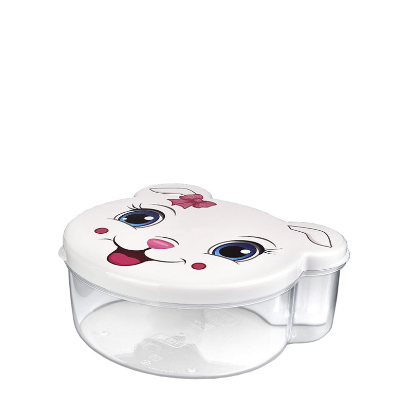 סט 4 קופסאות דמויות