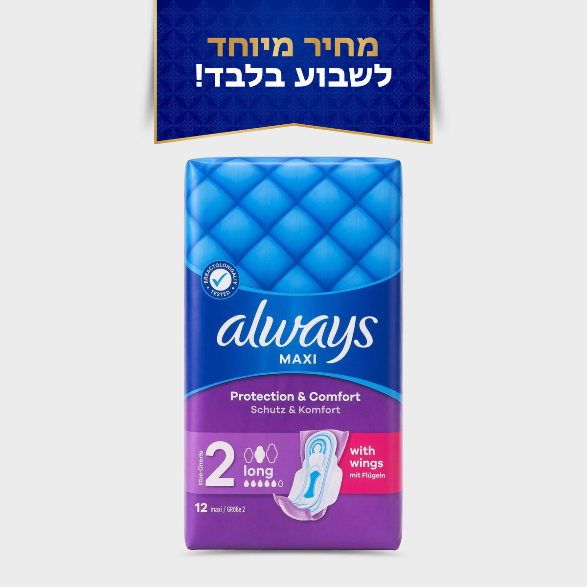 אולדייז מקסי לונג 12 יח'