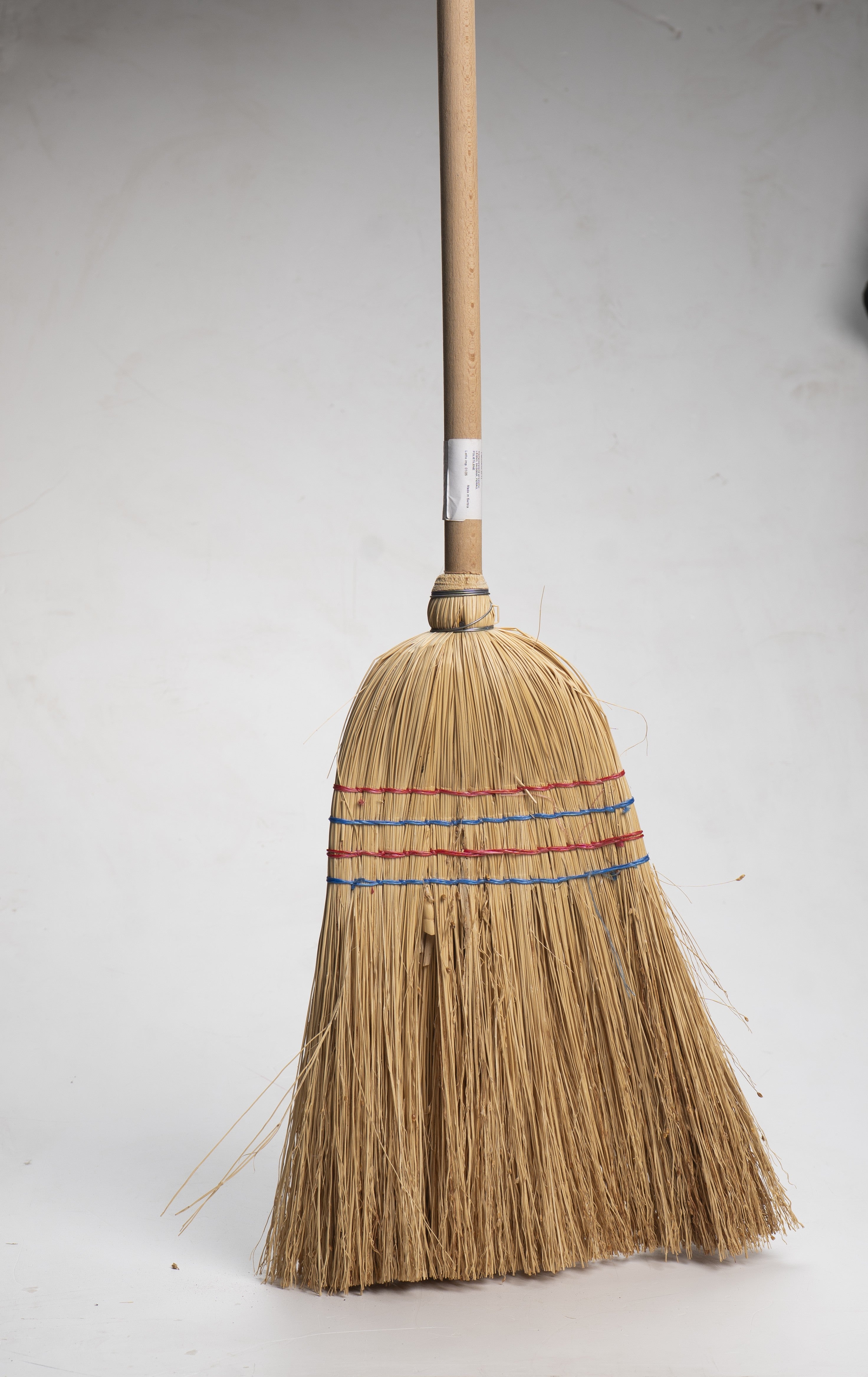 מטאטא מכשפות מיכל שייני