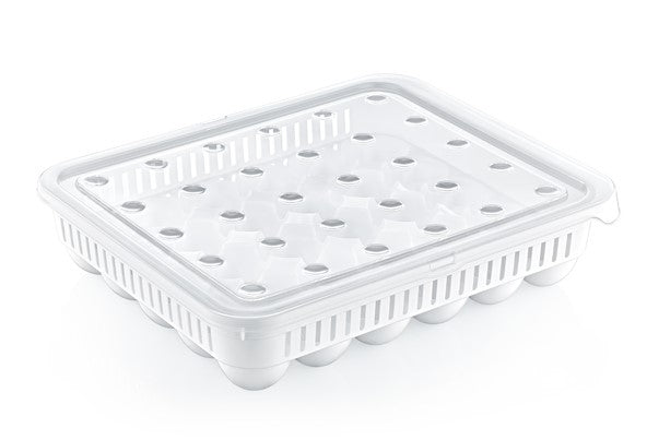 מגש ביצים 30